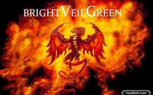 Bright Veil Green : Bright Veil Green Bright Veil Green : Bright Veil Green